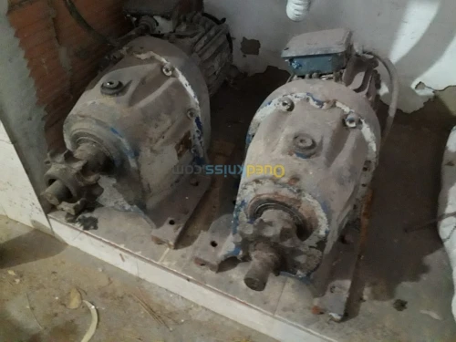 Batterie poules pondeuses 