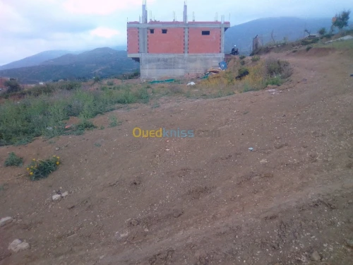 Vente Terrain Blida Blida