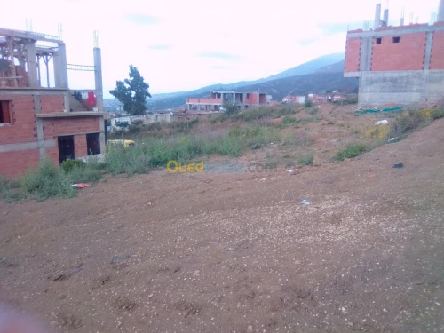 Vente Terrain Blida Blida
