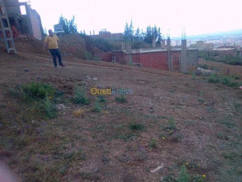 Vente Terrain Blida Blida