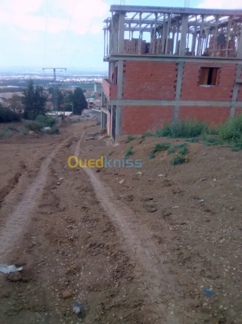 Vente Terrain Blida Blida