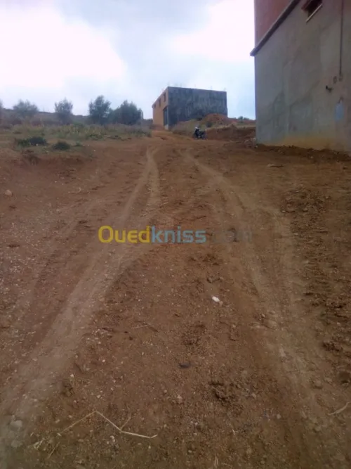 Vente Terrain Blida Blida
