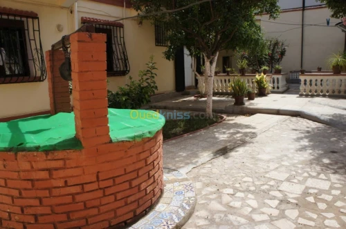 Vente Villa Alger Reghaia