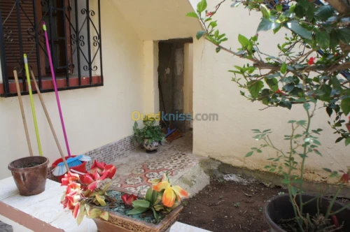 Vente Villa Alger Reghaia