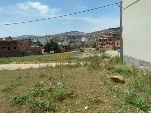 Vente Terrain Souk ahras Souk ahras