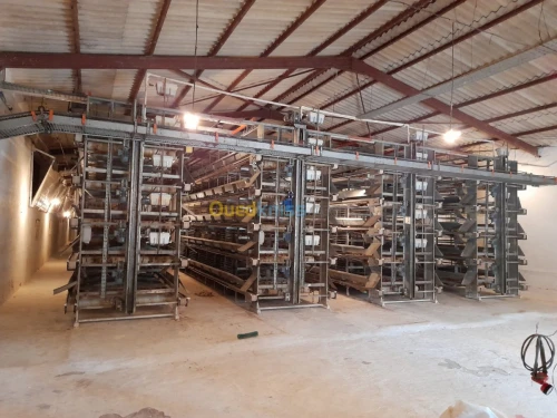 Location Hangar Alger Rouiba