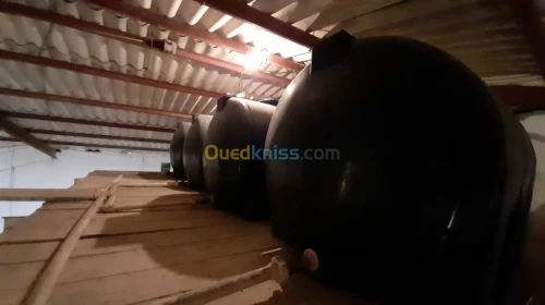 Location Hangar Alger Rouiba