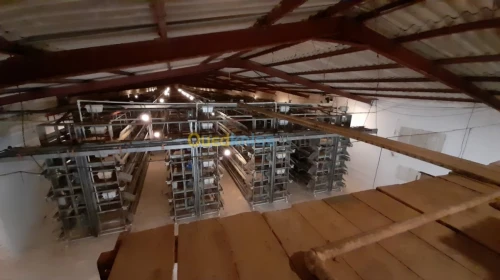 Location Hangar Alger Rouiba