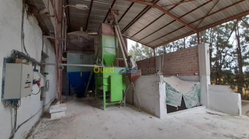 Location Hangar Alger Rouiba