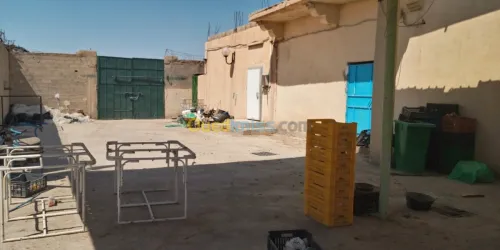 Vente Usine Biskra Biskra