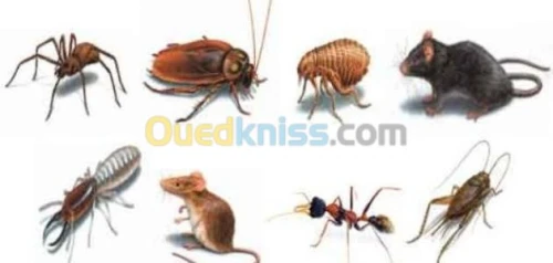 مكافحة الحشرات 
