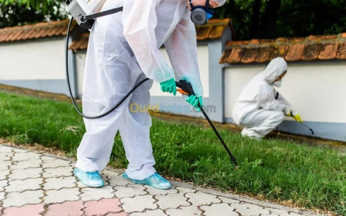 مكافحة الحشرات 