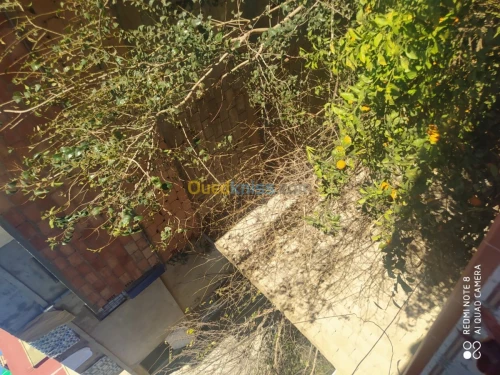 Vente Villa Oran Bir el djir