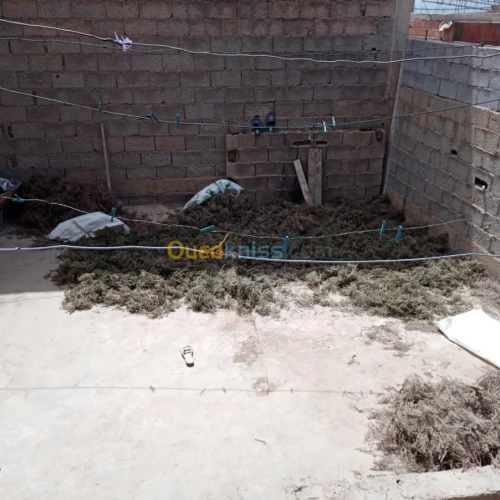 Vente Appartement F7 Tlemcen Hennaya