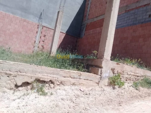 Vente Carcasse Tlemcen Tlemcen