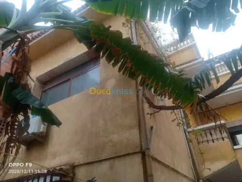 Location Villa Oran Sidi chami