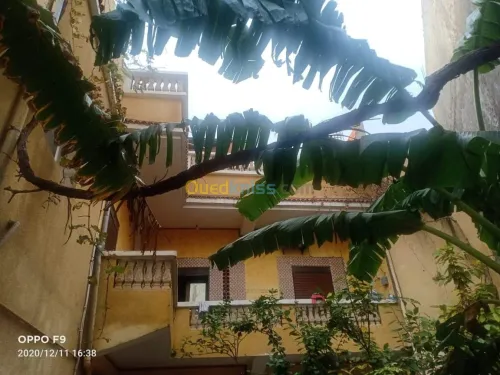 Location Villa Oran Sidi chami