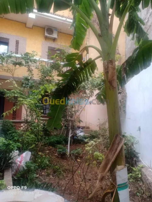 Location Villa Oran Sidi chami