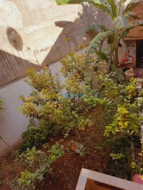 Location Villa Oran Sidi chami