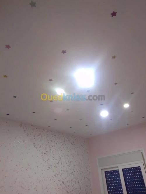 Placo plâtre PVC pienture electriçité