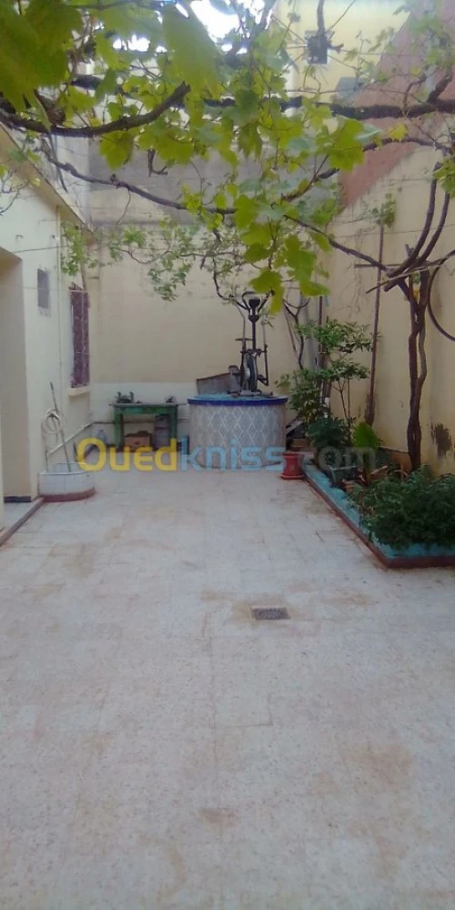 Vente Villa Sidi bel abbes Sidi bel abbes