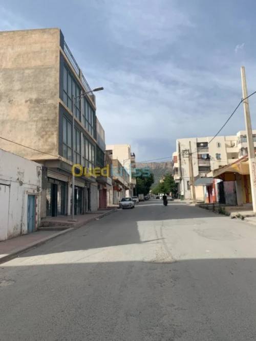 Vente Terrain Oum el bouaghi Oum el bouaghi