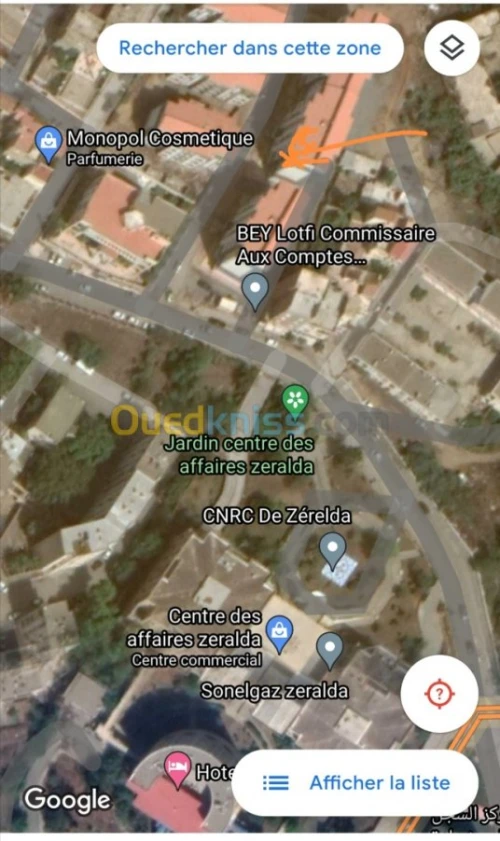 Location Local Alger Zeralda