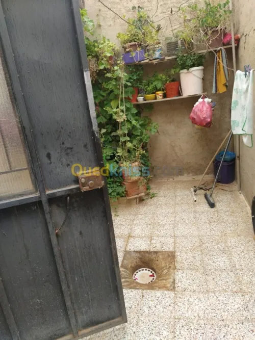 Vente bien immobilier Tiaret Medrissa