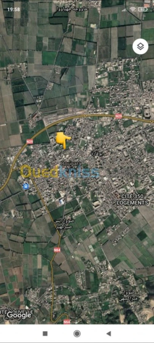 Vente Terrain Blida Bougara