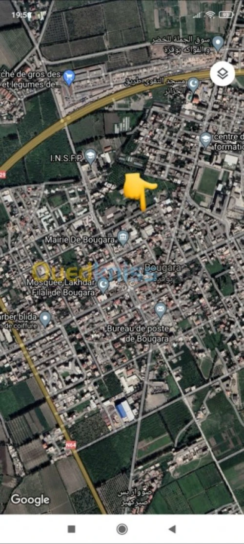 Vente Terrain Blida Bougara