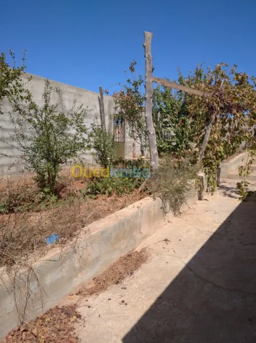 Vente Villa Tlemcen Marsa ben mhidi