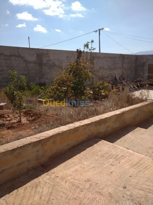 Vente Villa Tlemcen Marsa ben mhidi