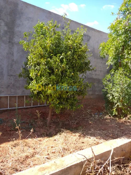 Vente Villa Tlemcen Marsa ben mhidi