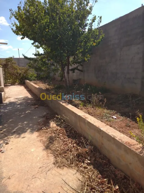 Vente Villa Tlemcen Marsa ben mhidi