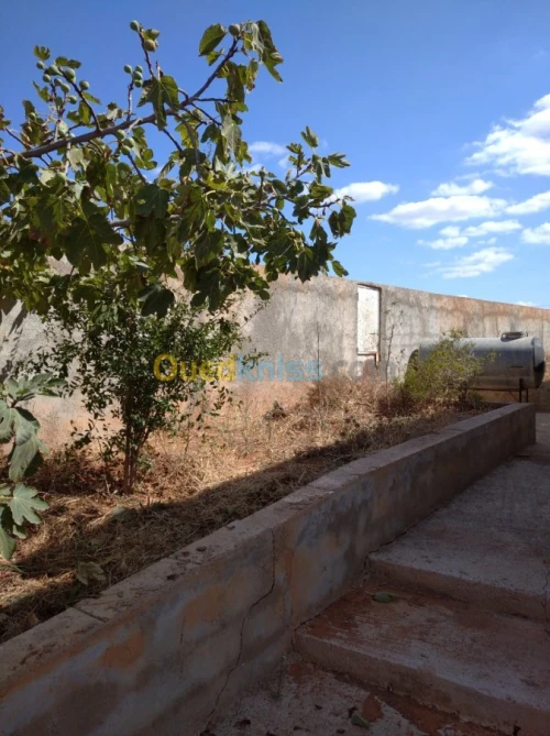 Vente Villa Tlemcen Marsa ben mhidi