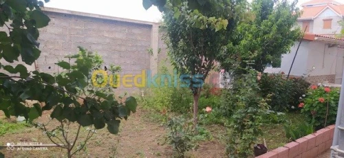 Vente Villa Boumerdes Hammedi