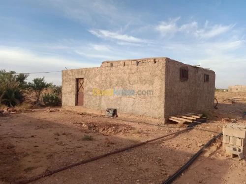 Vente Terrain Agricole Bechar Lahmar
