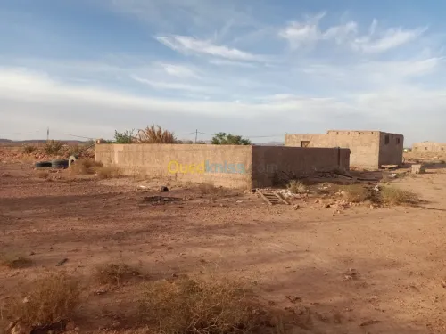 Vente Terrain Agricole Bechar Lahmar