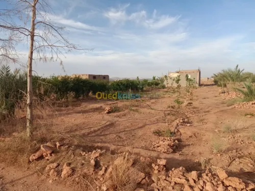Vente Terrain Agricole Bechar Lahmar