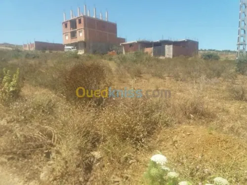 Vente Terrain Boumerdes Boudouaou