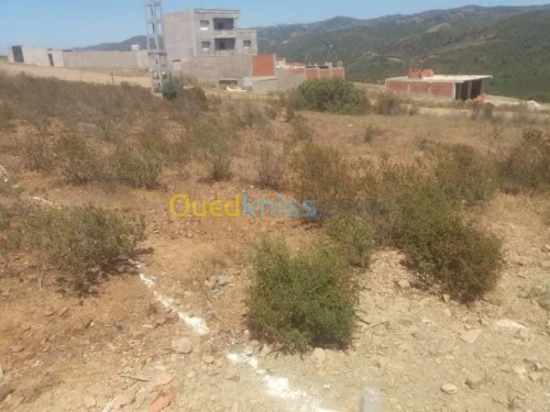 Vente Terrain Boumerdes Boudouaou