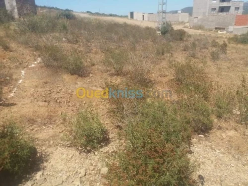 Vente Terrain Boumerdes Boudouaou