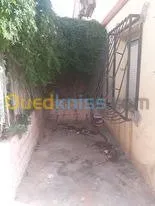 Vente Appartement F98000000 Alger Staoueli