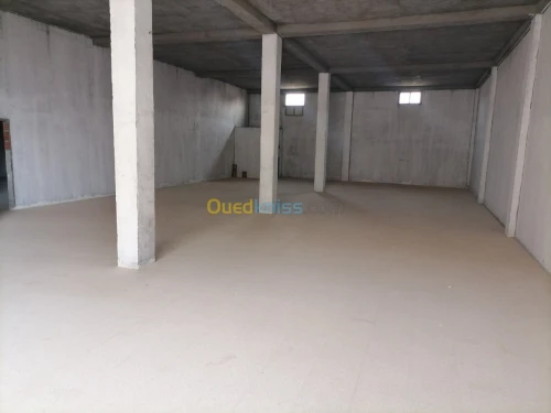 Location Local El oued El oued