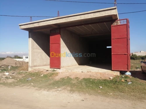 Vente Carcasse Alger Sidi moussa