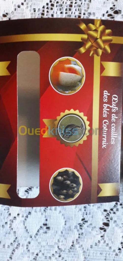 Oeufs de caille féconde