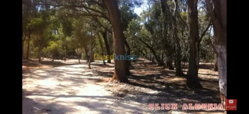 Location vacances Appartement F3 Mostaganem Khadra