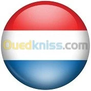 Cours de langues étrangères