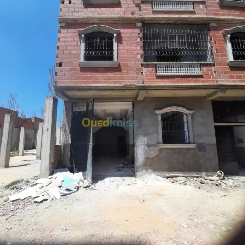 Vente Niveau De Villa F10 Blida Bougara