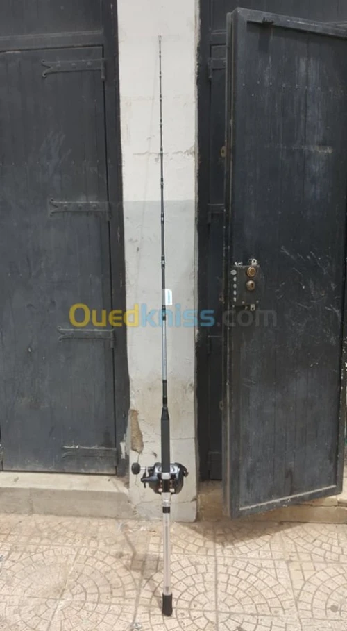 canne plus moulinet electrique